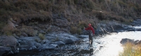 Karnemelk Stream (19)