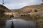 Karnemelk Stream (23)