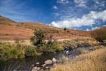 Karnemelk Stream (26)