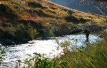 Karnemelk Stream (2)