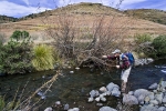 Karnemelk Stream (3)