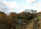 Karnemelk Stream (4)