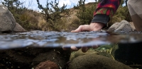 Karnemelk Stream (5)