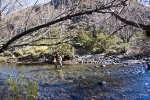 Karnemelk Stream (9)