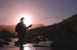 8. Fishing into the sun, Smalblaar River, W Cape