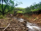 Swith Stream E Cape