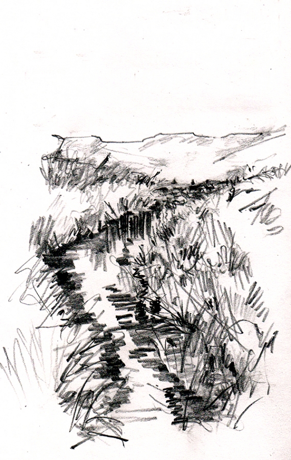 Field sketch of a stream