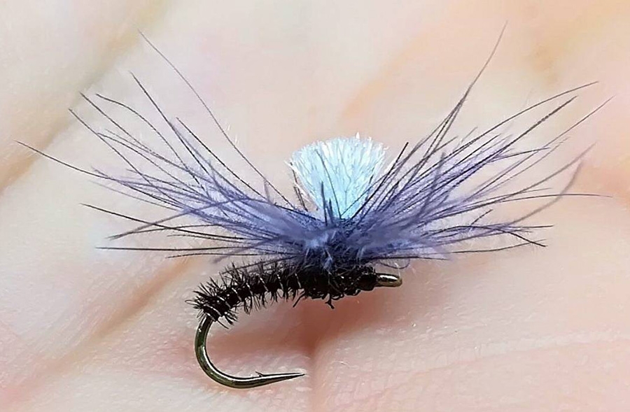 FINDING YELLOWFISH HEAVEN IN LESOTHO