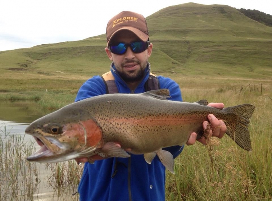 Jan Korrubel reports that the freshwater fly fishing in the KZN midlands is on fire at the moment!
