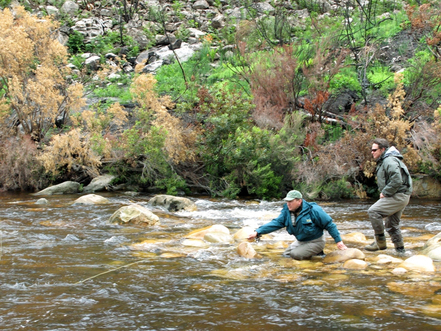 Taking nymphing to a new level &ndash; By Ed Herbst