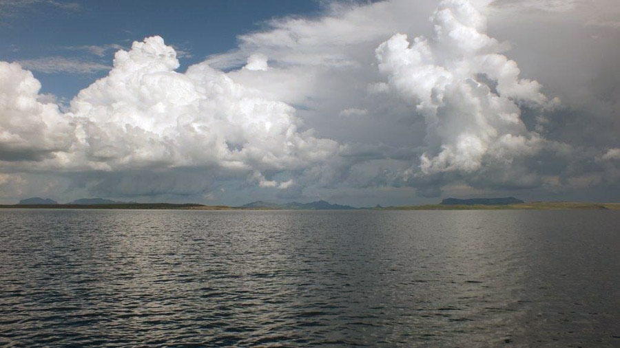 OBSERVATIONS FROM A STERKIES VIRGIN