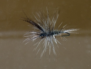 SLANT TANKS &ndash; a simple way to photograph flies through water or from underneath. Tom Sutcliffe.