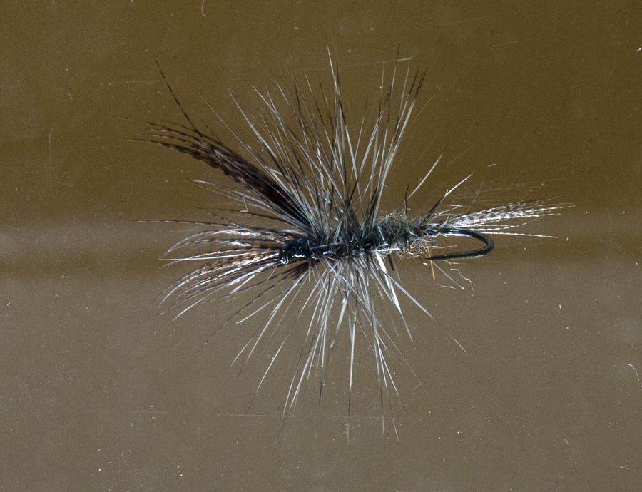 SLANT TANKS &ndash; a simple way to photograph flies through water or from underneath. Tom Sutcliffe.