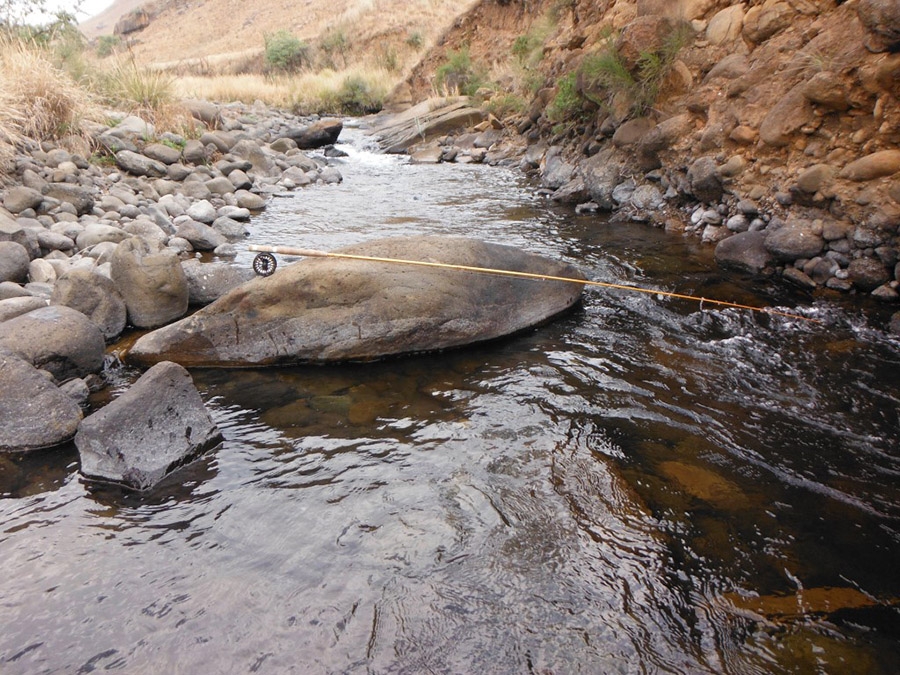 KZN Trout September trout report by Jan Korrubel