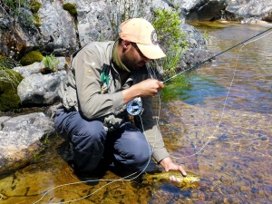 Trout Intelligence &ndash; by Ed Herbst. The concept of trout being able to reason and remember has always been fascinating to me&hellip;