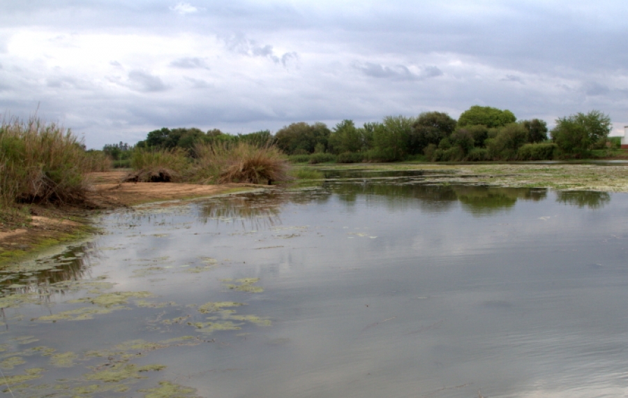 Fishing the Komati &ndash; Text and images By Tony Kietzman.