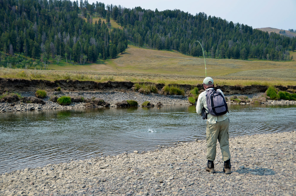 12. Casting into a run. Lamar River in Yellowstone National Park 