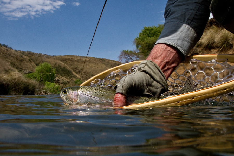 15. Sterkspruit beauty