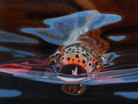 AD_Maddox_fly_fishing_art_3