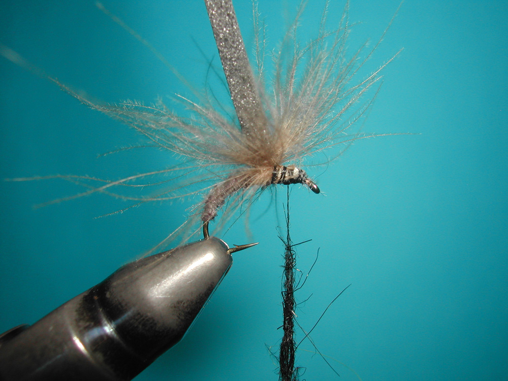 Agostino Roncallo Upset Hackle dry fly 7