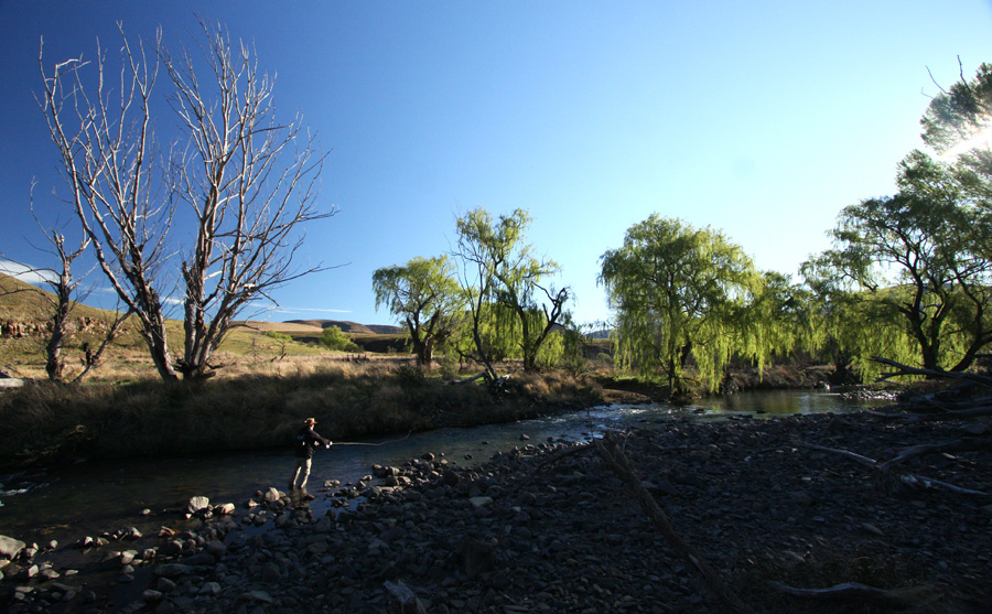 Brian Hammond on the Sterkspruit