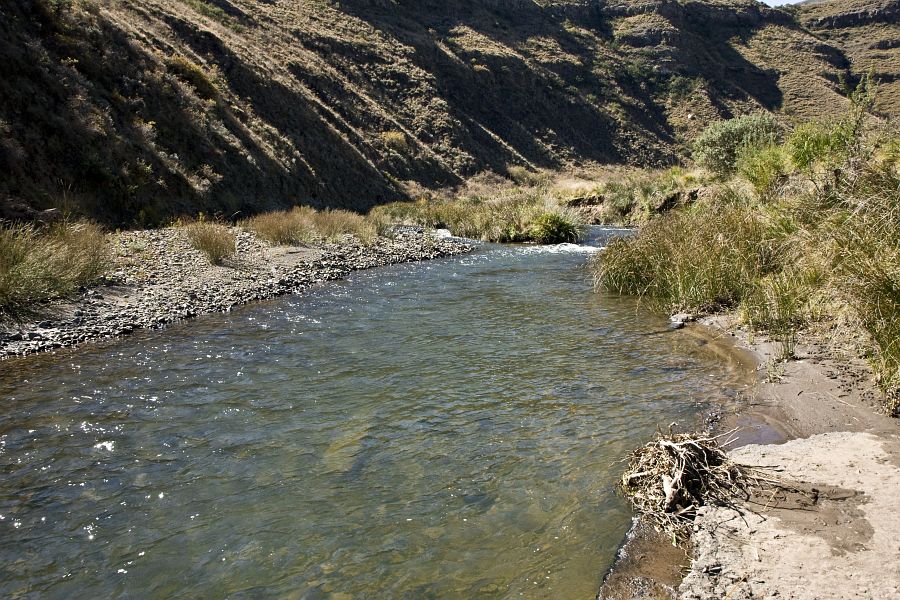 The_Sterkspruit_at_Lindesfarne_Bridge