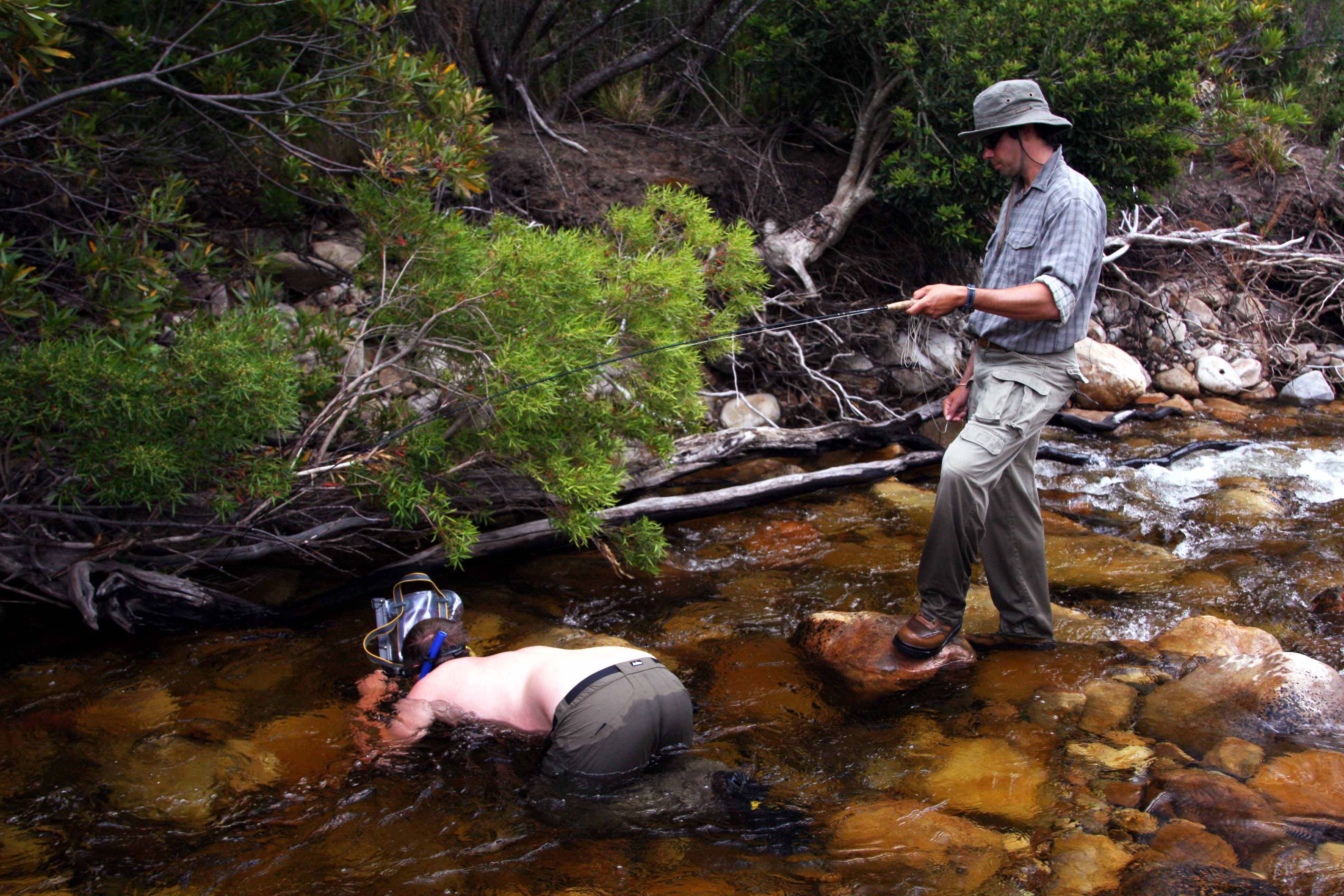 Copy_of_IMG_7544_copy