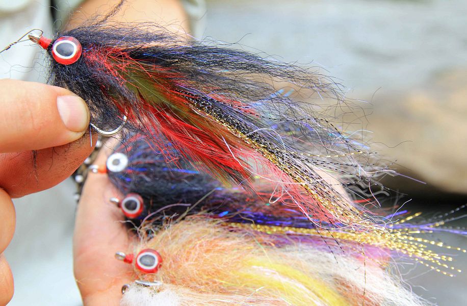 Deadly_baitfish_patterns_for_Tanzanian_tigers