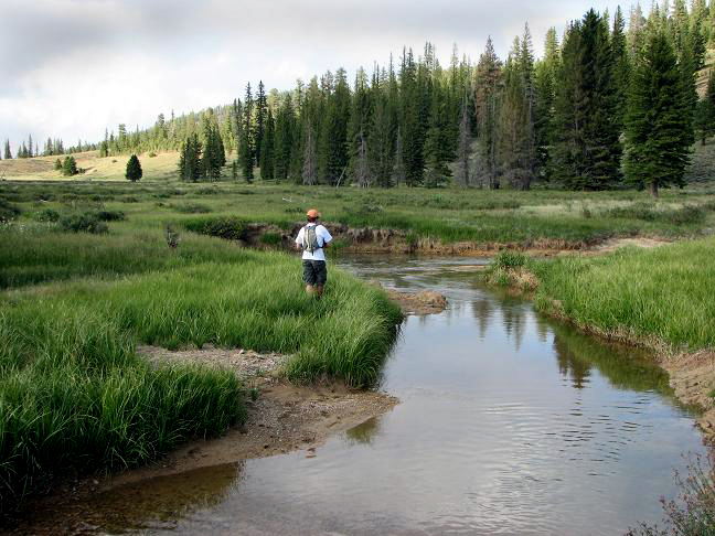 East_Fork_Sevier_-_A_view_of_the_meadow