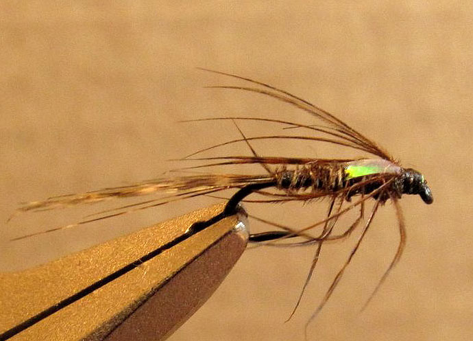 Flashback soft hackle nymph