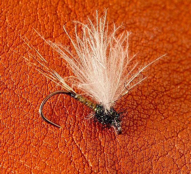 Fly_3_-_CdC_Mayfly