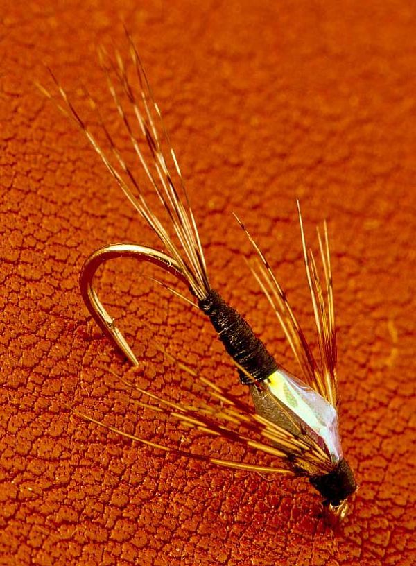 Fly_5_-_Czech_Nymph