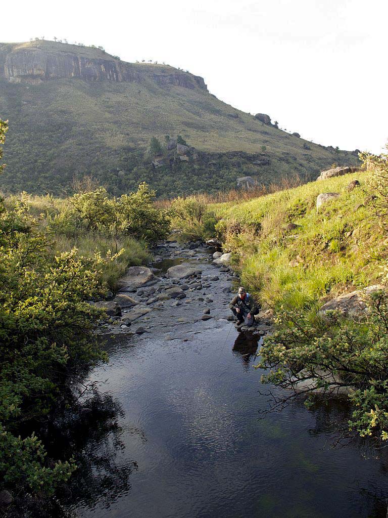 Fly_fishing_Drakensberg_streams_6