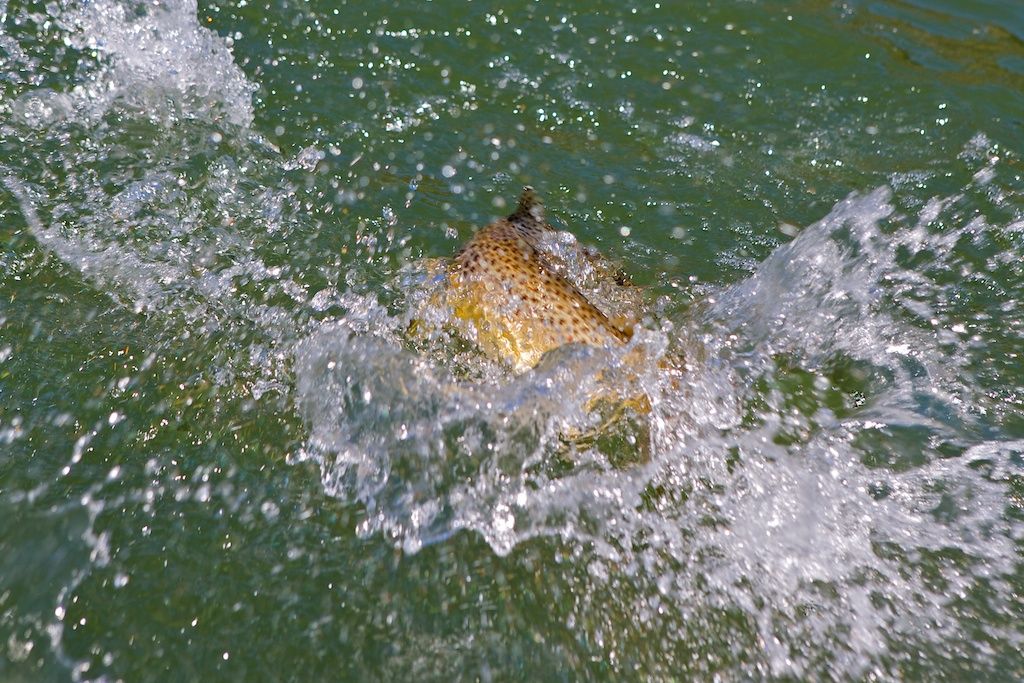 George_Brits_Photo_Snake_River_Idaho_1