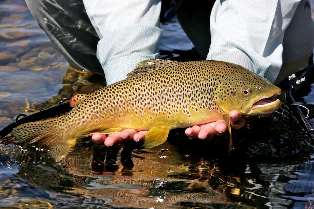 George_Brits_Photo_Snake_River_Idaho_5