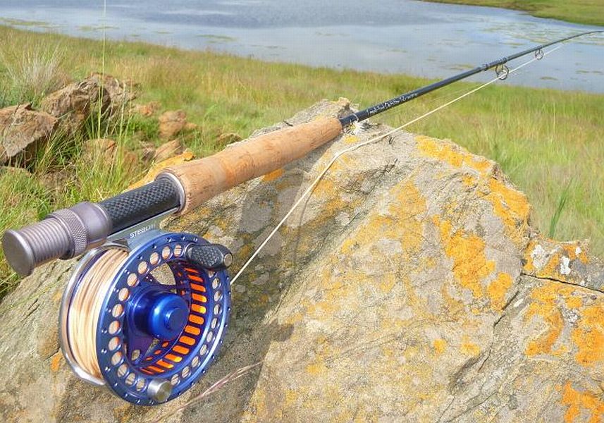 Gerhard_Delport._Dullies_5_wt_setup