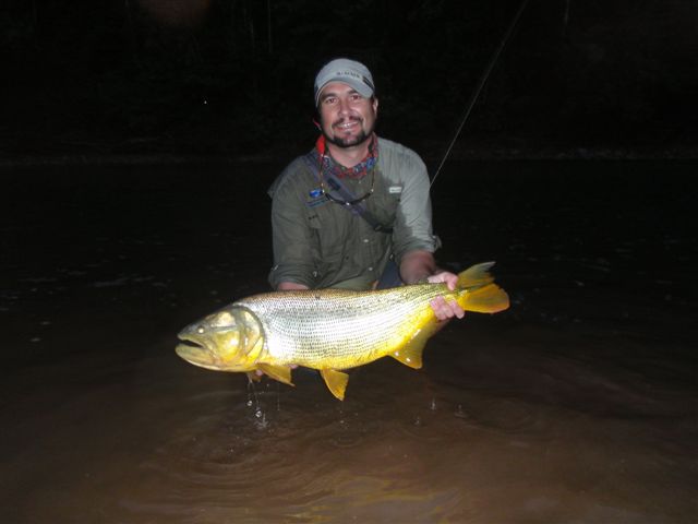 Golden_Dorado_Bolivia_Ruhan_Neethling_13