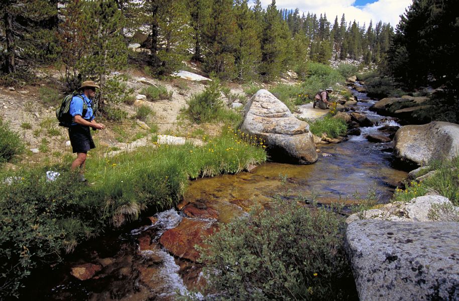 Golden_trout-Valentine_Atkinson_5