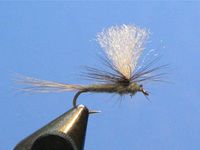 Gray-Hackle-Parachute-Adams