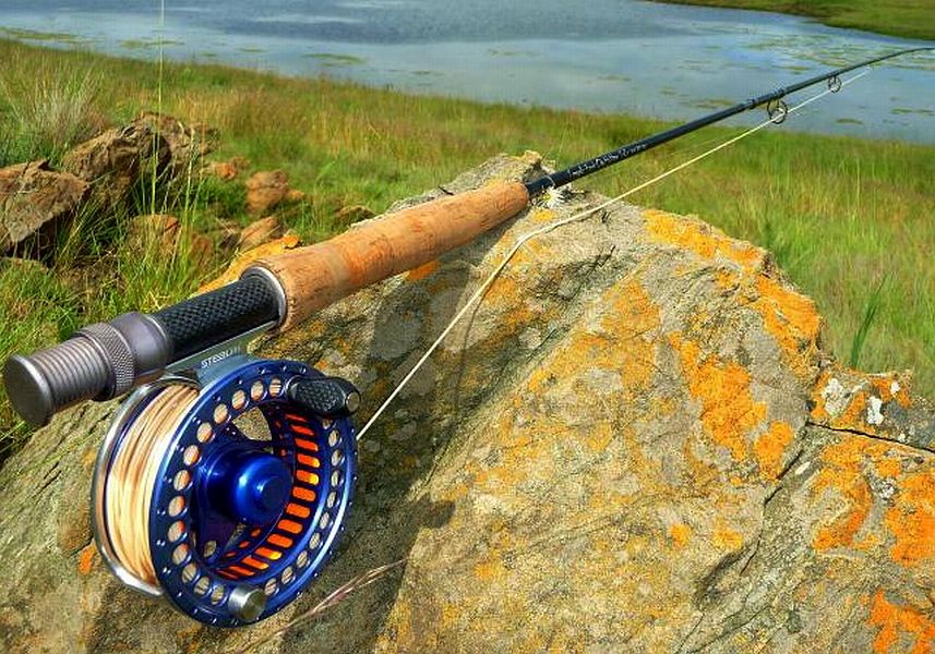 Grhard_Delport._Dullies_5_wt_setup-1