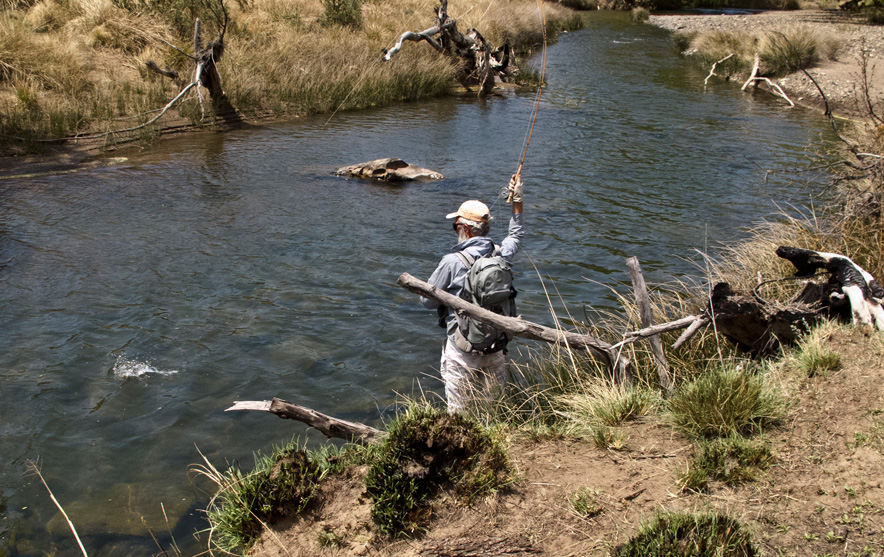 Hook up in a Sterkspruit run