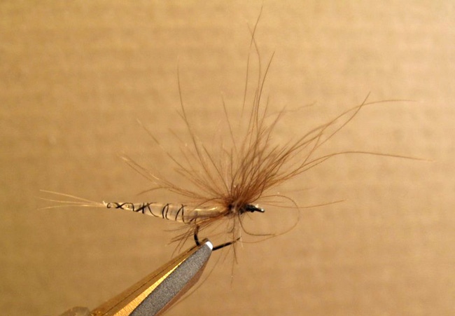Hot glue extended body mayfly