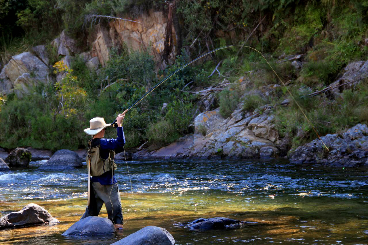 Kevin_Cooke_IMG_1430-1