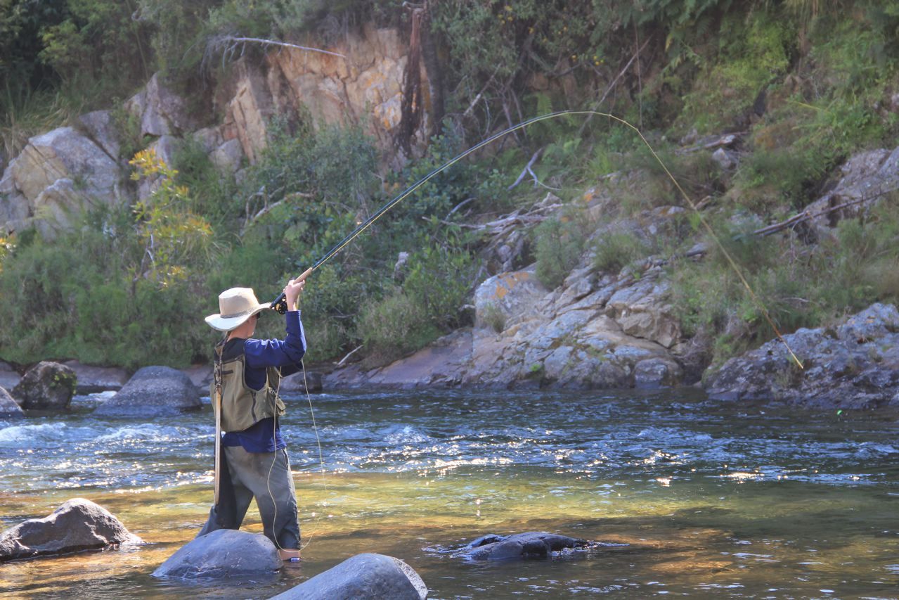 Kevin_Cooke_IMG_1430