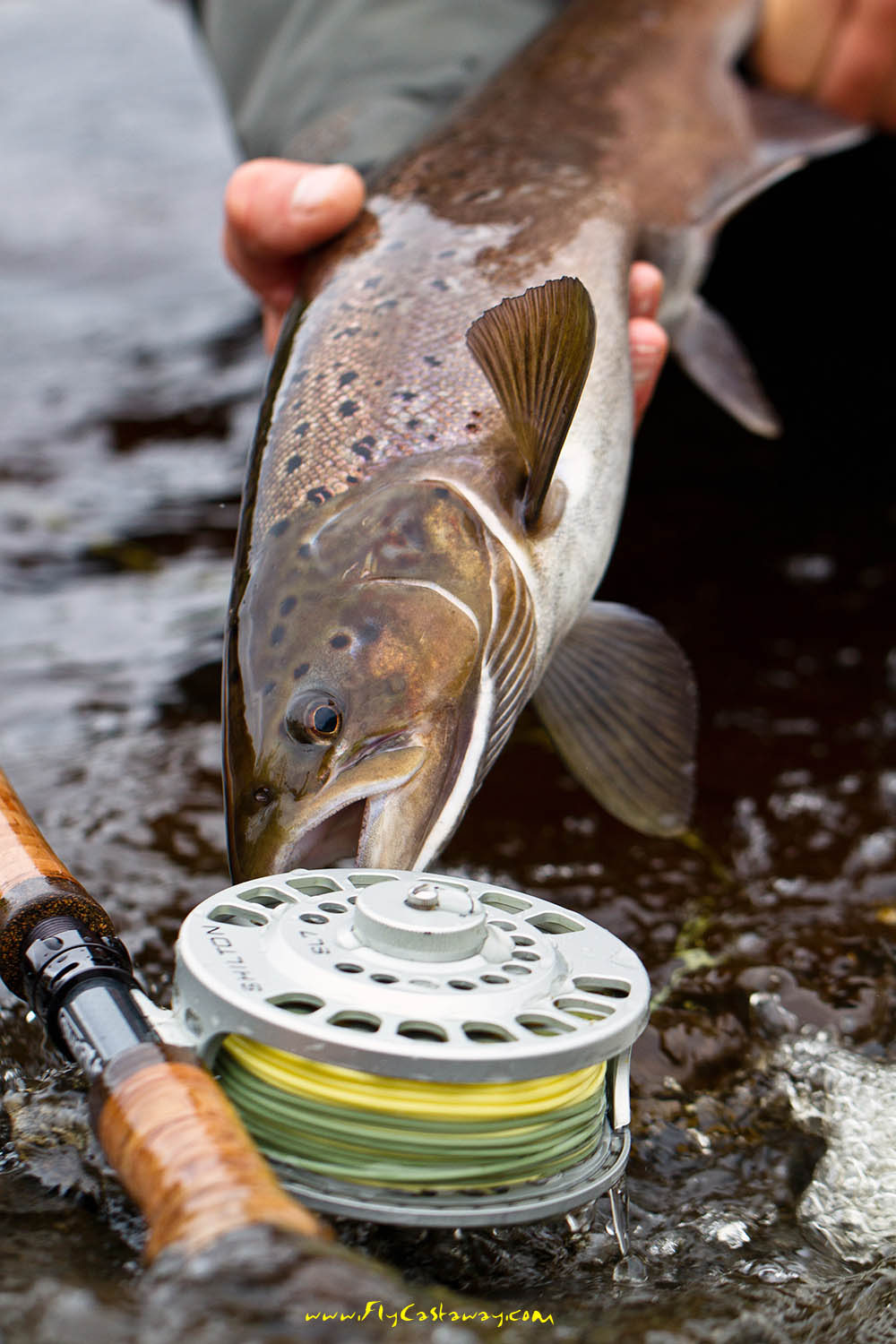 Kola_Peninsula_Russian_salmon_fishing_5