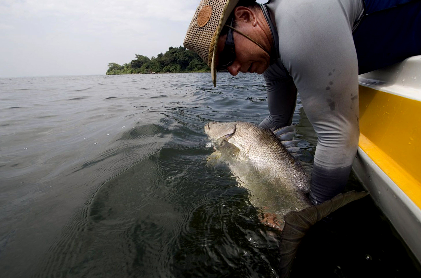 Lake-Victoria-nev-perch-15kg-001