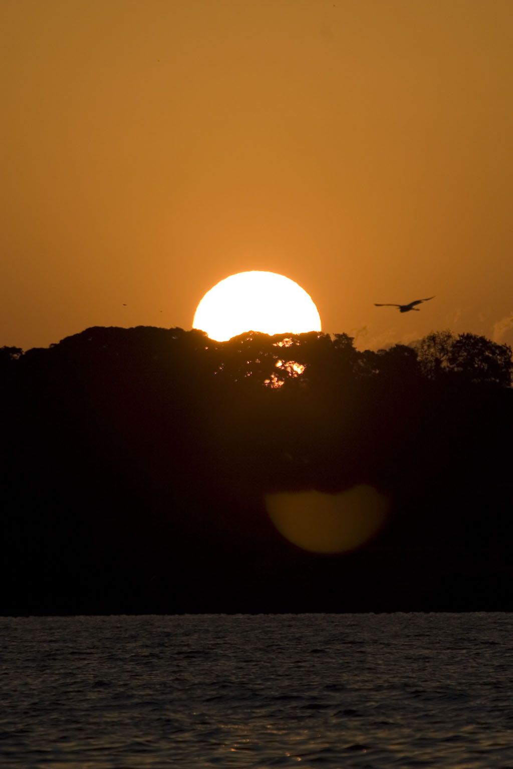 Lake-Victoria-sunset