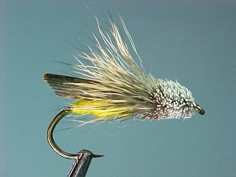 LetortHopper-400