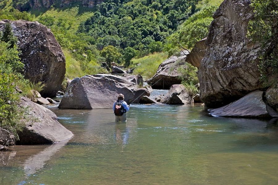 Little_Pot_Maclear_2