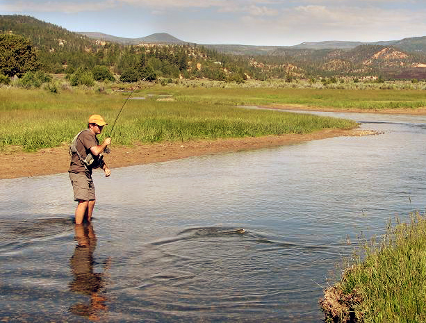 Mammoth_Creek_-_Fish_On